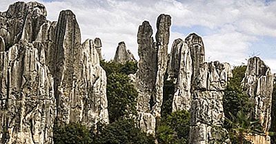 Shilin Stone Forest - Lugares Únicos Na China
