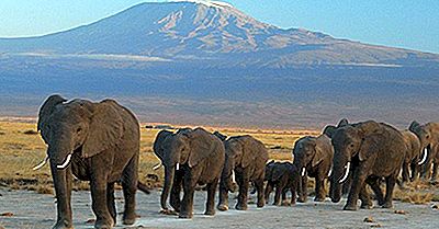 Unesco-Werelderfgoedlocaties In Tanzania