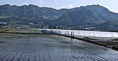 Was Weißt Du Über Die Insel Kyushu?