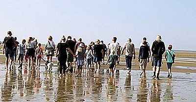 Wat Is Wandelen Met Modderkruipers?