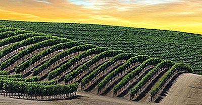Var Är Napa Valley, Och Varför Producerar Det Sådant Gott Vin?