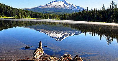 Los 10 Picos Más Altos En Oregon