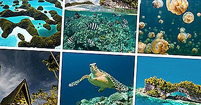 10 Fatti Interessanti Su Palau