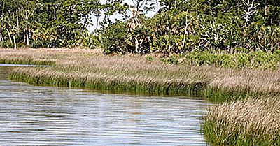 De 10 Længste Floder I Florida