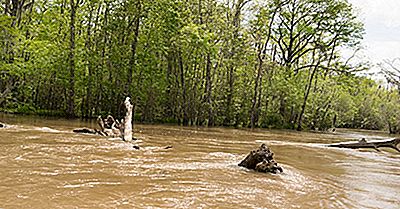 Los 10 Ríos Más Largos En Mississippi