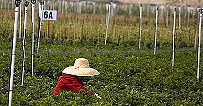 12 Paesi Con La Più Alta Immigrazione Netta