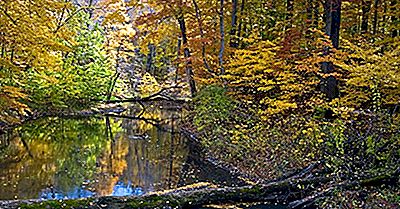 Los 12 Monumentos Naturales Nacionales De Michigan