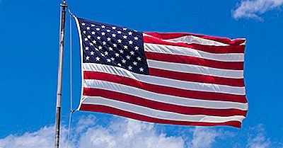 Roman salon Tulpen Amerikaanse Vlag: De Vlag Van De Verenigde Staten Van Amerika | 2022