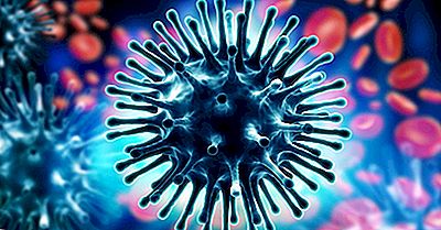 Les Épidémies Les Plus Meurtrières Du 21Ème Siècle Jusqu'À Présent