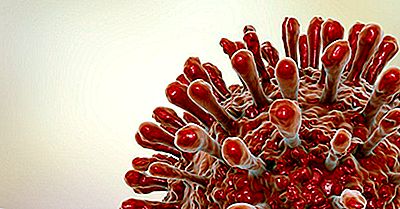 Hiv Bei Frauen - Hiv Rate Bei Frauen Weltweit