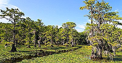 Câte Lacuri Naturale Sunt În Texas?