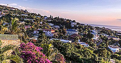 Er Jamaica Et Land?