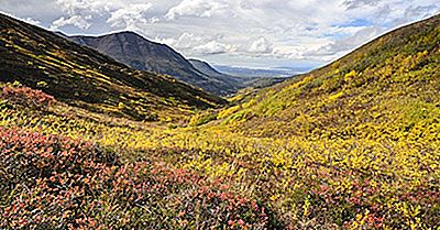 Os Maiores Parques Da Cidade Nos Estados Unidos