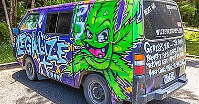 Marijuana Användning Enligt Region Of The World
