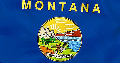 Montana State Flag