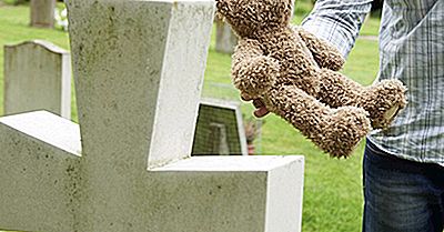 Us-Stater Med Den Lägsta Infant Mortality Priserna