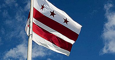 Washington DC Flagga | 2021