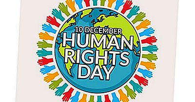 O Que E Quando É O Dia Dos Direitos Humanos?