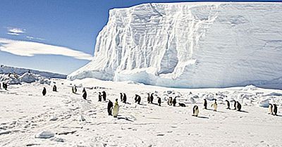 Hva Er Opprinnelsen Til Navnene Arktis Og Antarktis?