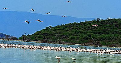 Quali Sono I Laghi Della Rift Valley?