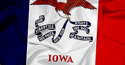 Che Aspetto Ha La Bandiera Di Stato Dell'Iowa?