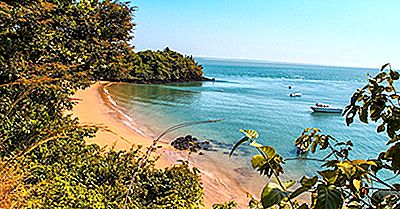 Que S'Est-Il Passé Pendant La Guerre Civile En Guinée-Bissau?