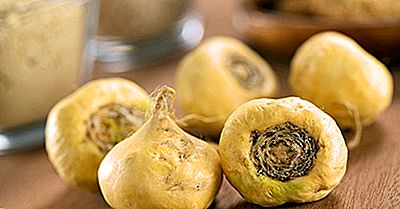 Cos'È La Maca (Lepidium Meyenii) E Dove Viene Coltivata?