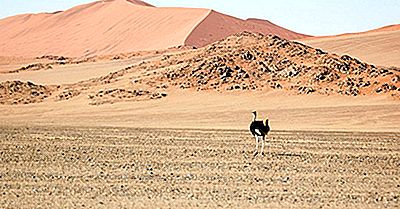 Hvad Er Den Ældste Ørken I Verden?