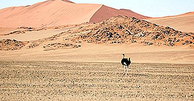 Qual È Il Più Antico Deserto Del Mondo?