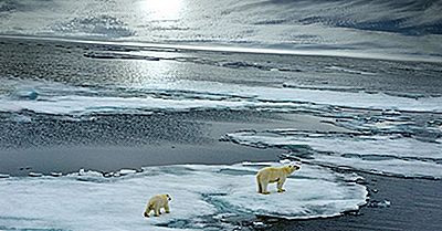 Qual È L'Oceano Più Piccolo?