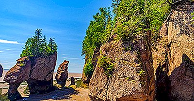 Hvad Er Unikt Om Bay Of Fundy?