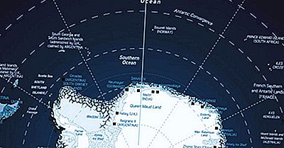 Qual È Stato L'Incidente Di Vela?