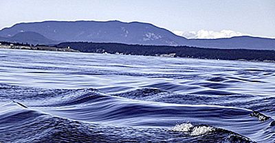 Dov'È Il Mare Salish?
