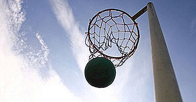 Quali Sono Le Migliori Classifiche Della Inf World Net Cup?