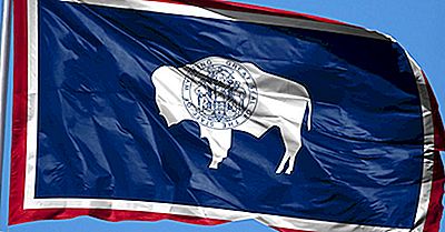 Bandiera da pennone Wyoming 50x75cm 